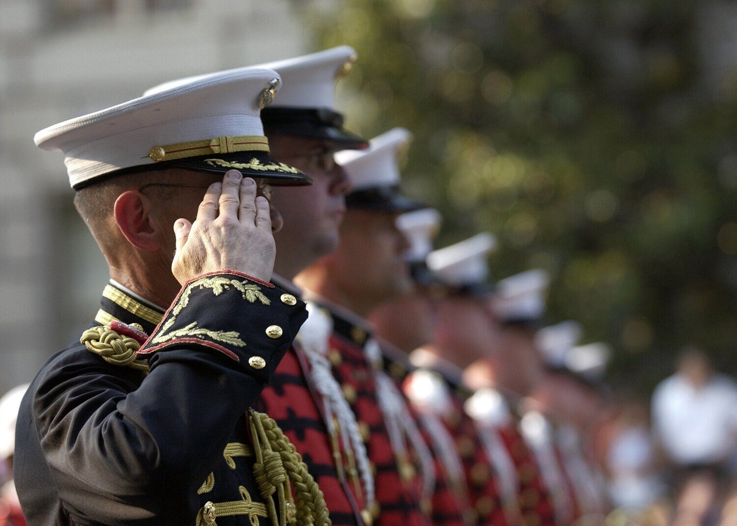 Military Salute